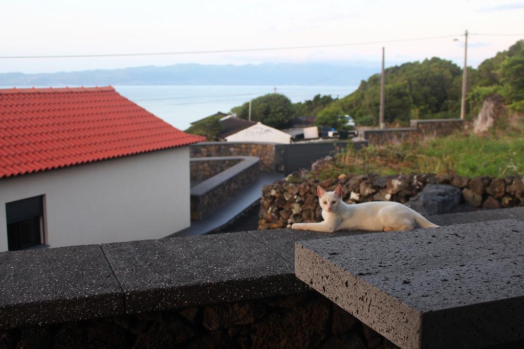 Vila Paim Santo Antonio  Exterior foto